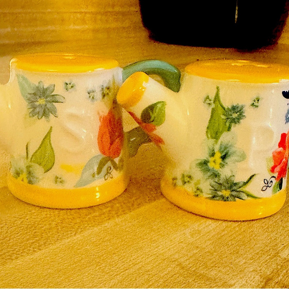 The Pioneer Woman salt and pepper shakers